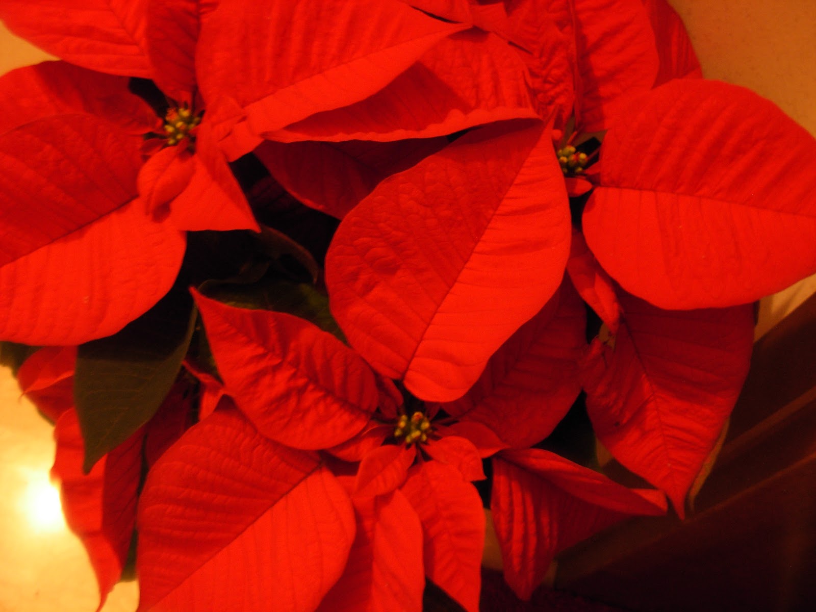 Ariannadisegnadipingecrea Marangonzin: I MIEI MIGLIORI AUGURI DI BUONE