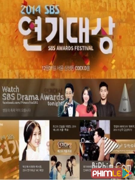 SBS Drama Awards 2014