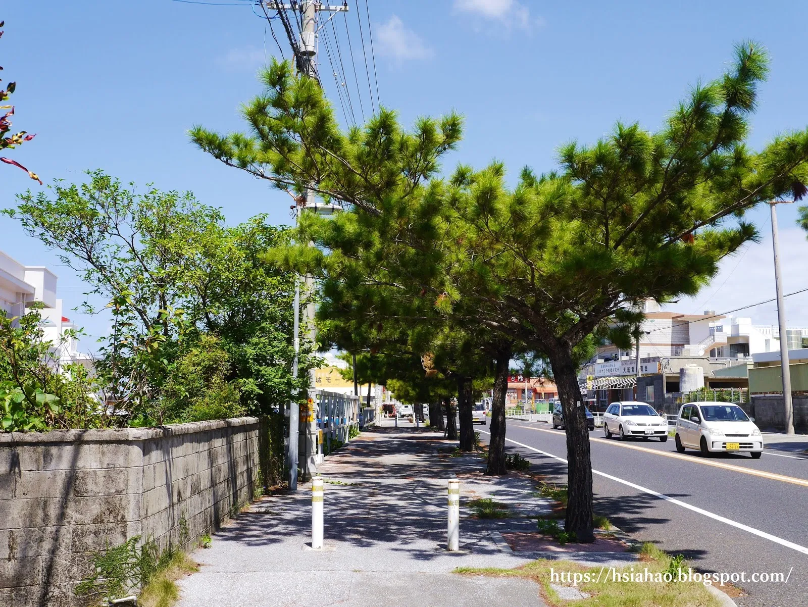 沖繩-讀谷村-Okinawa-Yomitanson