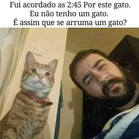 Memes engraçados Memes engraçados
