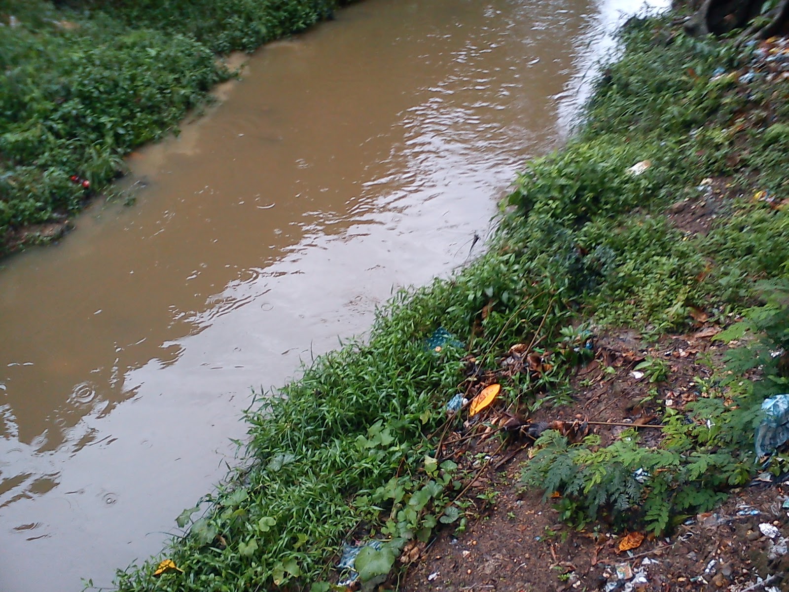 DAÑOS ECOLOGICOS AMBIENTALES DE YONDO ANTIOQUIA: Daños ecológicos ...