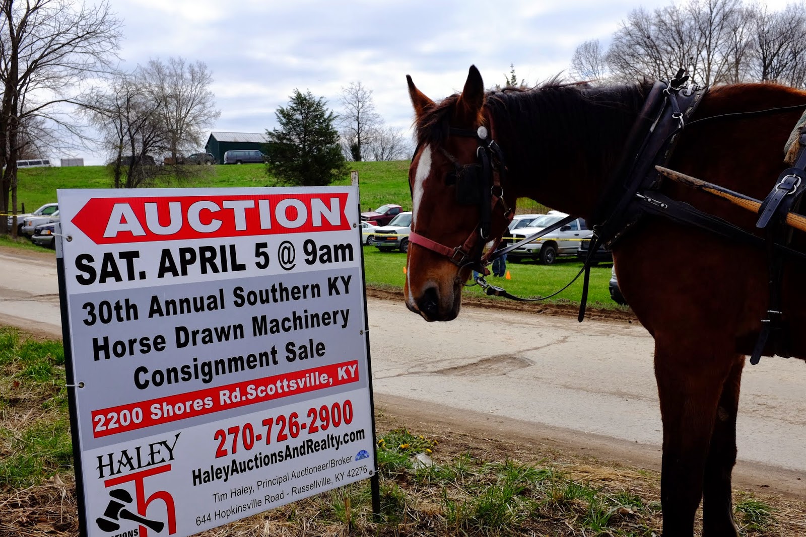 The Tillery Times Auction, Auction!!!