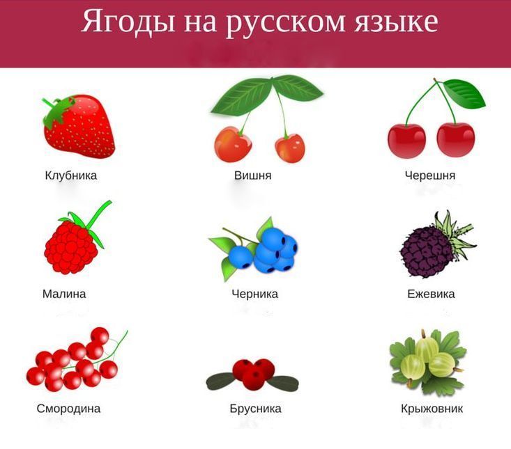 კენკრა - ЯГОДЫ