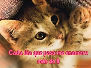 Frases de Amor en Imágenes Bonitas para Enamorar y Descargar Gratis Frases de Amor