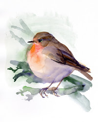 bird watercolor paintings painting robin birds watercolour giclee fine lovers animals prints artists watercolors orange brown things