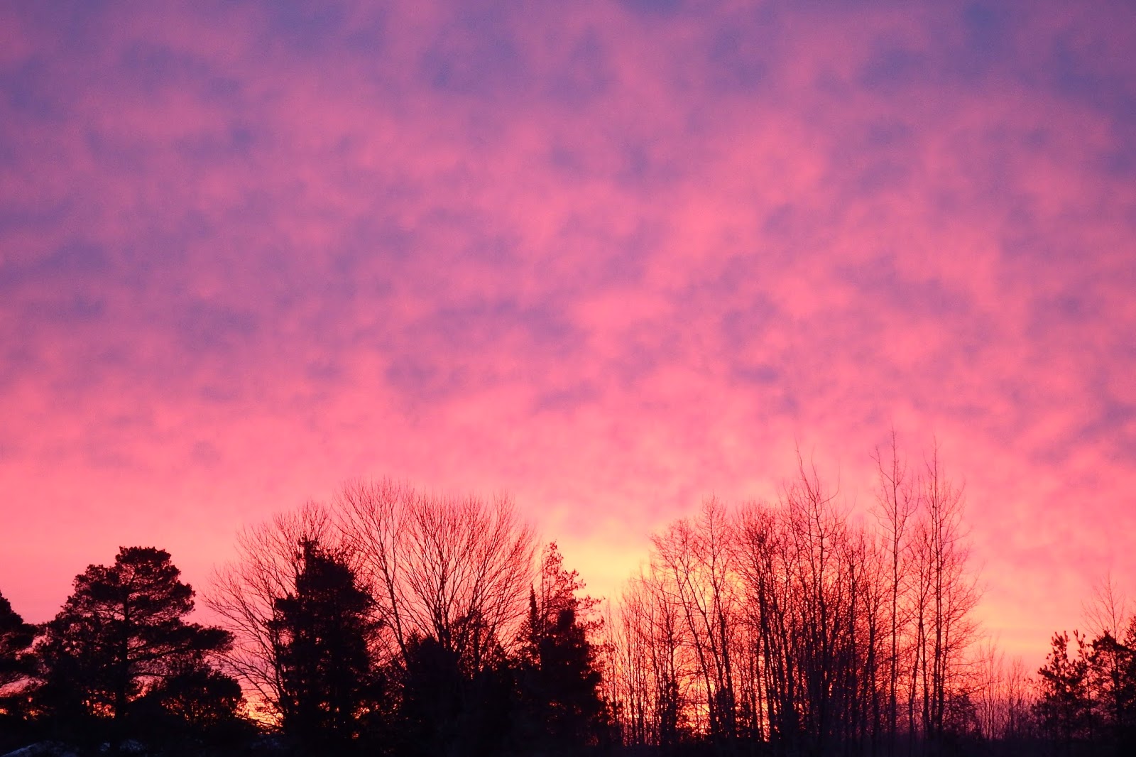 "Just North of Wiarton & South of the Checkerboard" Pink Sky In The