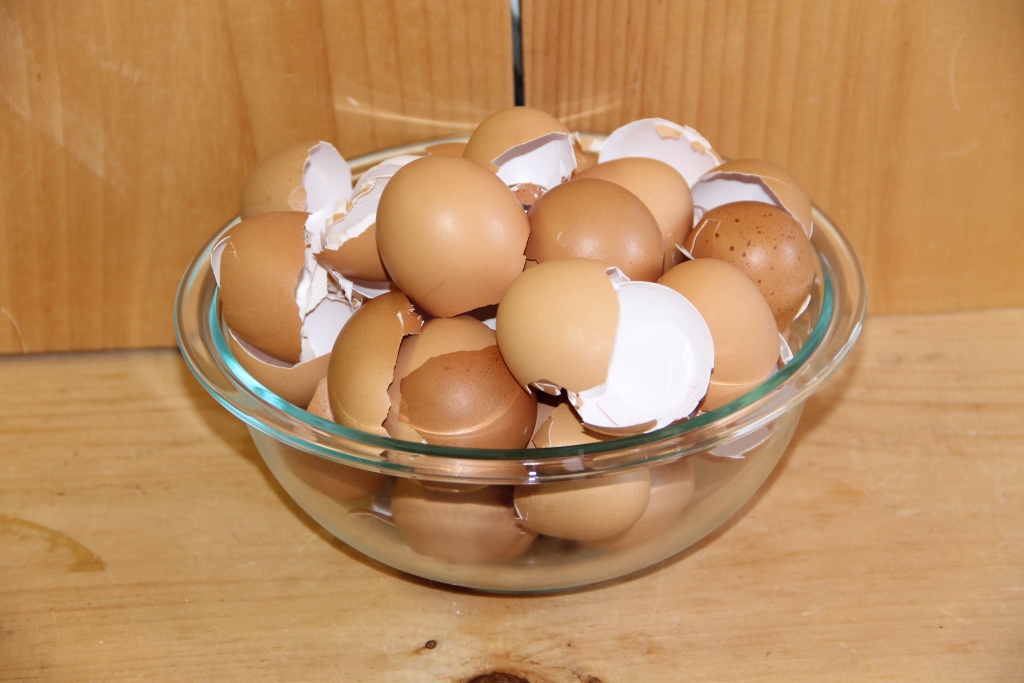 The Homestead Laboratory Grinding Eggshells