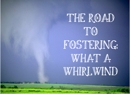 Living & Loving: Red, White, and Blue: What a Whirlwind!