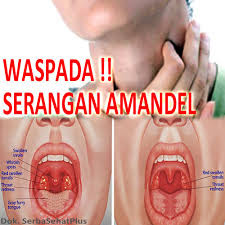 De Nature Indonesia