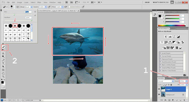 Cara Edit Foto Ikan Melayang di Atas Langit Menggunakan Photoshop