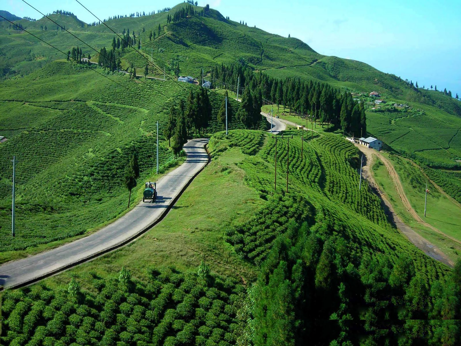 phiyo-sampang-ilam