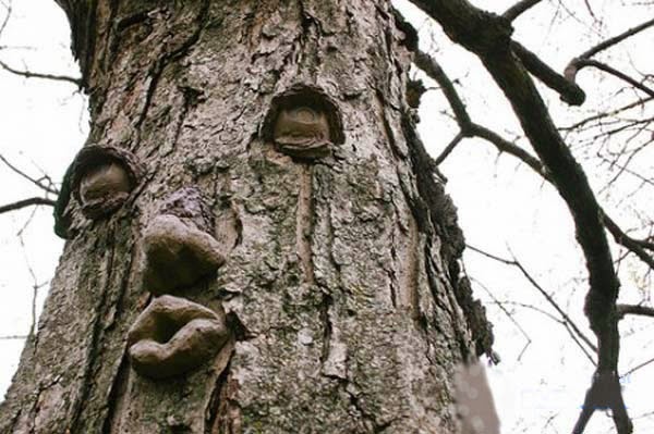 Top 19 Funny Trees top-19-funny-trees