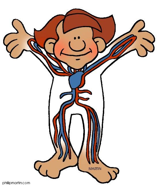 free clip art human heart - photo #37