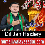 https://www.humaliwalyazadar.com/2018/09/zawar-dil-jan-haidery-nohay-2019.html