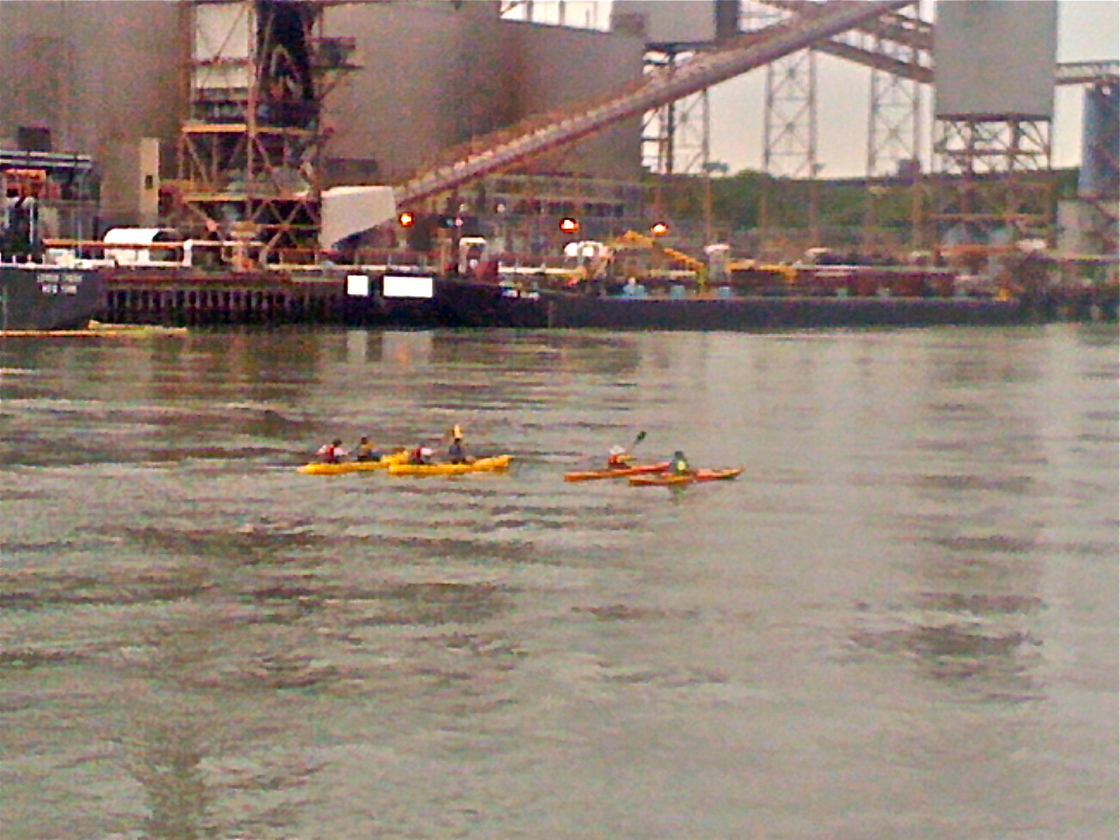 Roosevelt Islander Online East River Kayakers Passing Roosevelt Island