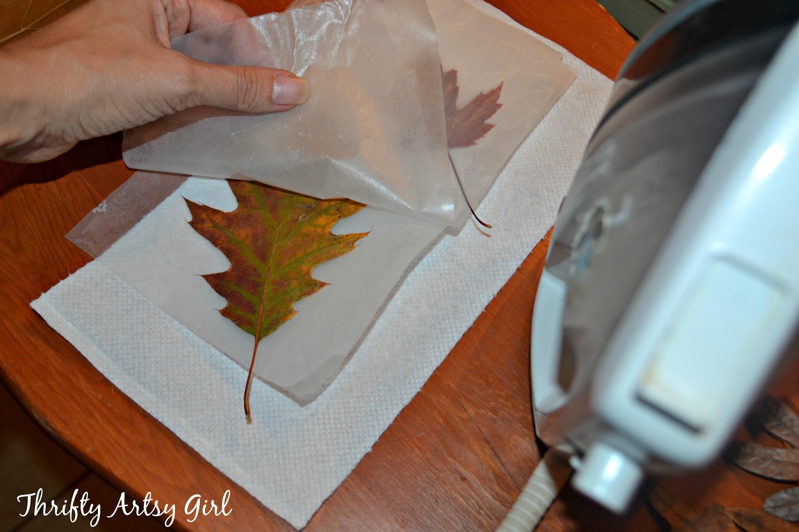 Thrifty Artsy Girl How to Easily Preserve Fall Leaves with Wax Paper