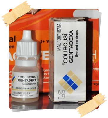 Meowwmania: December 2011