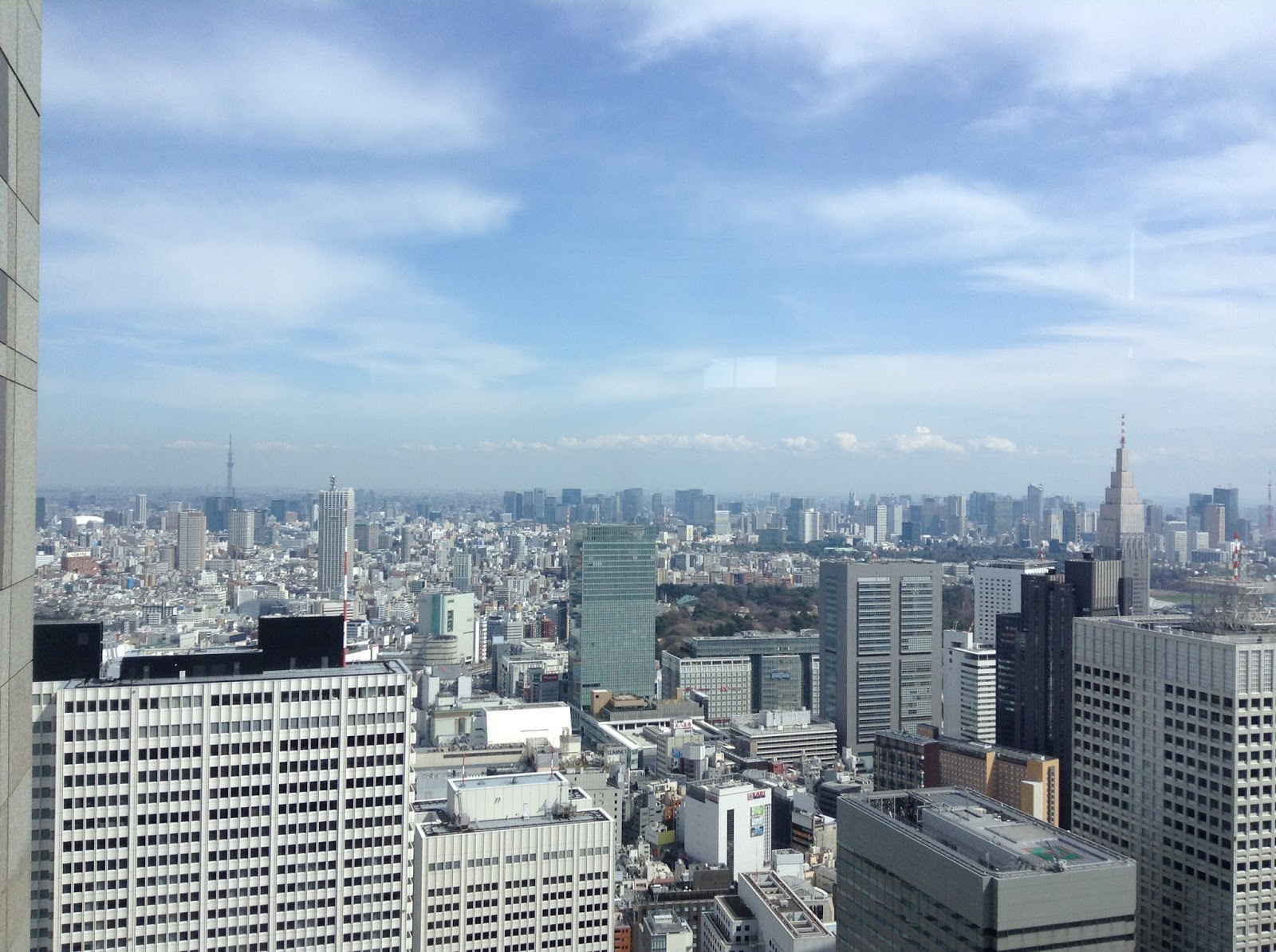 Tokyo Metropolitan building view