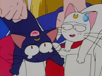 Ver Sailor Moon Sailor Moon R - Capítulo 54