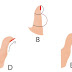 What does the shape of your thumb reveal about your personality?