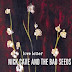 Nick Cave and The Bad Seeds - Love Letter