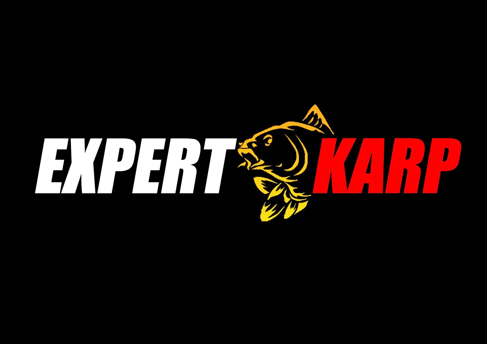 Portal.expert-karp.pl