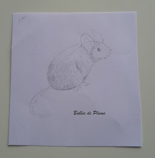 Bulles de Plume Idées pour peindre et dessiner les animaux  Editions Usborne