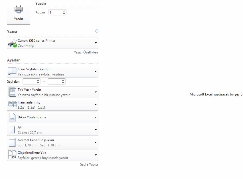 excel de tek sayfada yazdirma tek