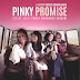 Pinky Promise,Cerita Tentang Persahabatan Dan Kasih Sayang Antara Penderita Kanker Payudara