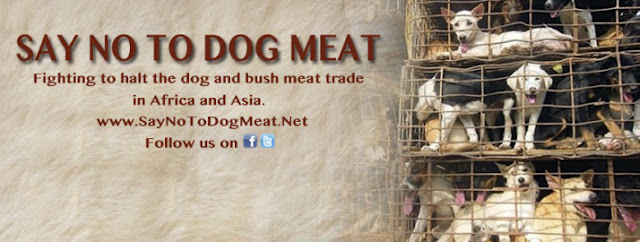  Say No To Dog and Cat Meat