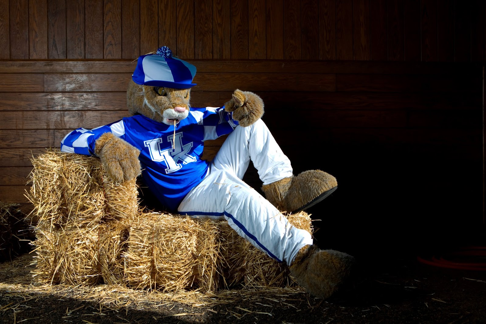 ukagstudents beyond the costume a look into the life of a mascot