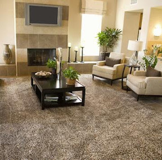 Big Solutions: How to decorate the living room with plants