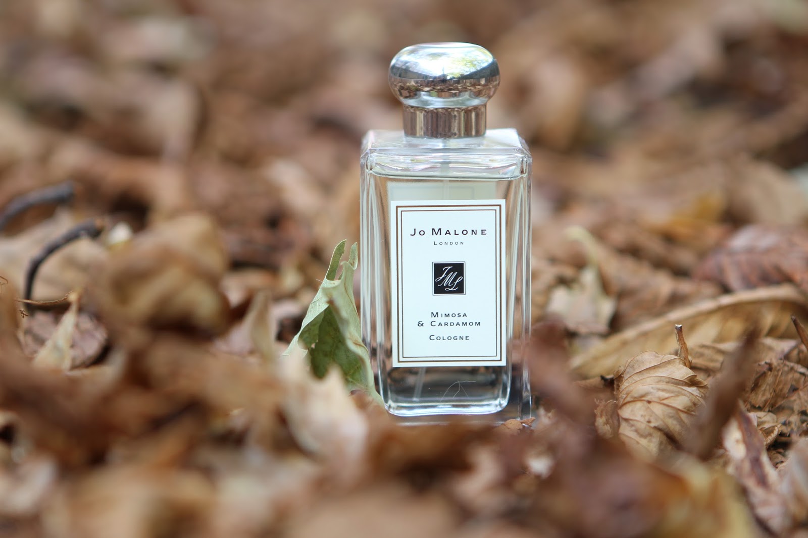 Mimosa Cardamom Jo – The • 【新品未使用】Jo Malone