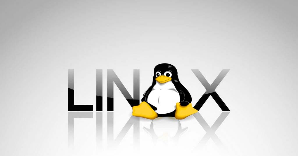 Gain Root Access Linux Terminal