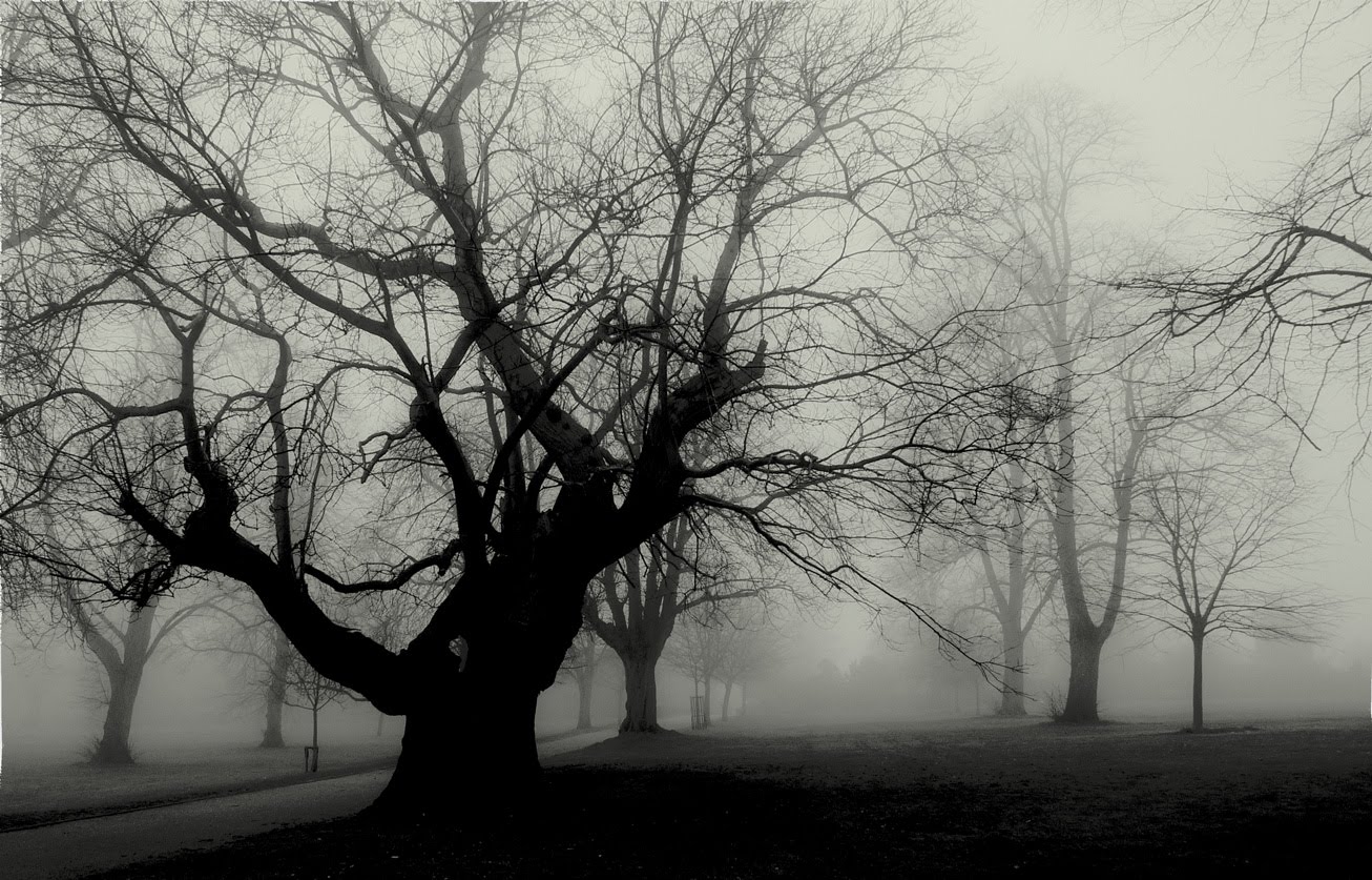 John Rixon - Visual Artist