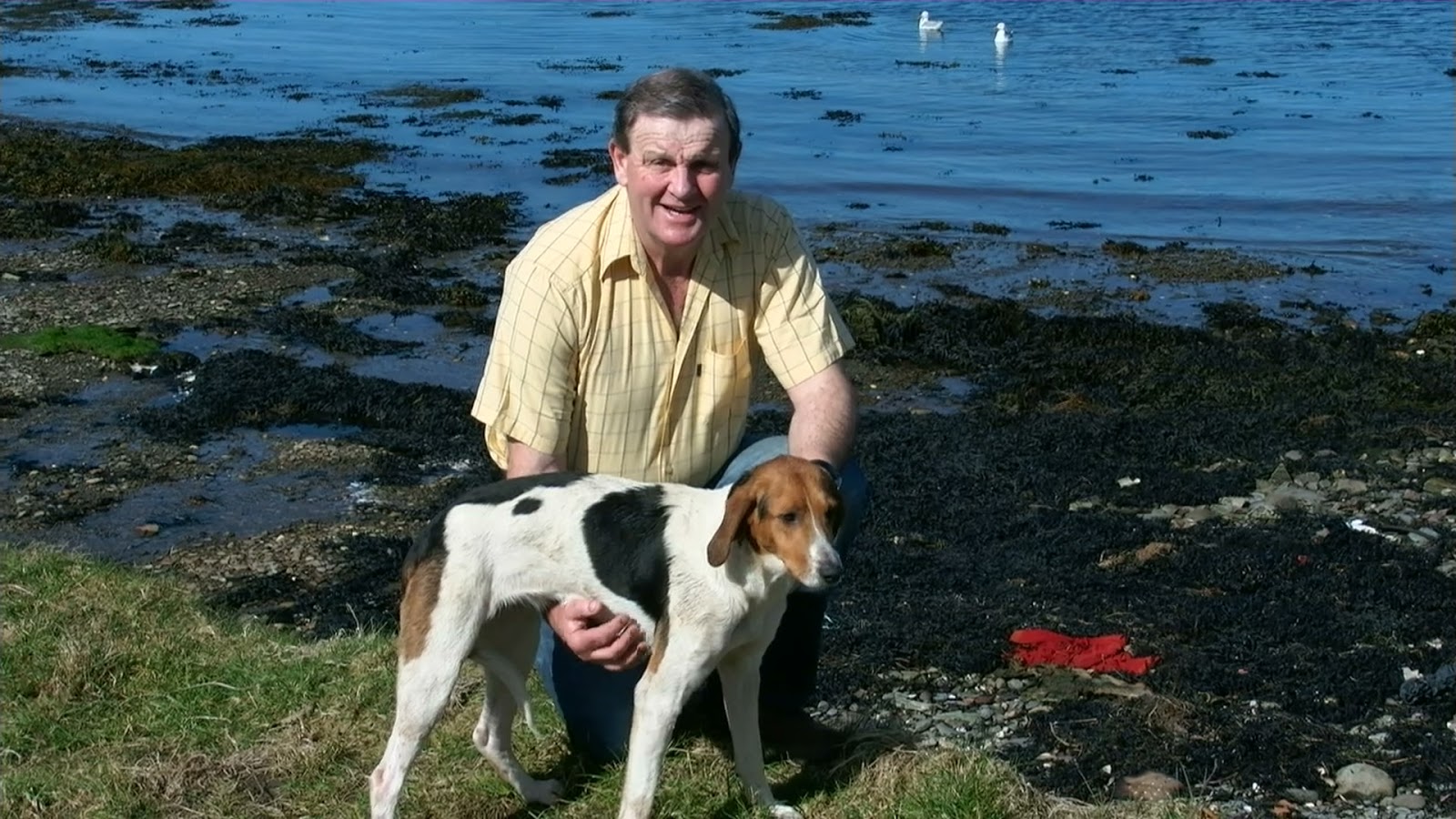 kerry beagle association