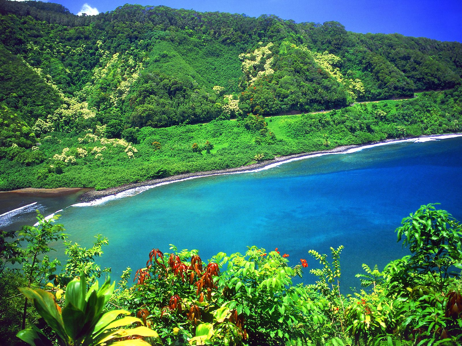 http://2.bp.blogspot.com/-H_WZAv9OsOw/Tik9tD7PCBI/AAAAAAAAAtc/kjTCQwsq0rs/s1600/Road+to+Hana%252C+Turquoise+Lagoon%252C+Maui%252C+Hawaii.jpg