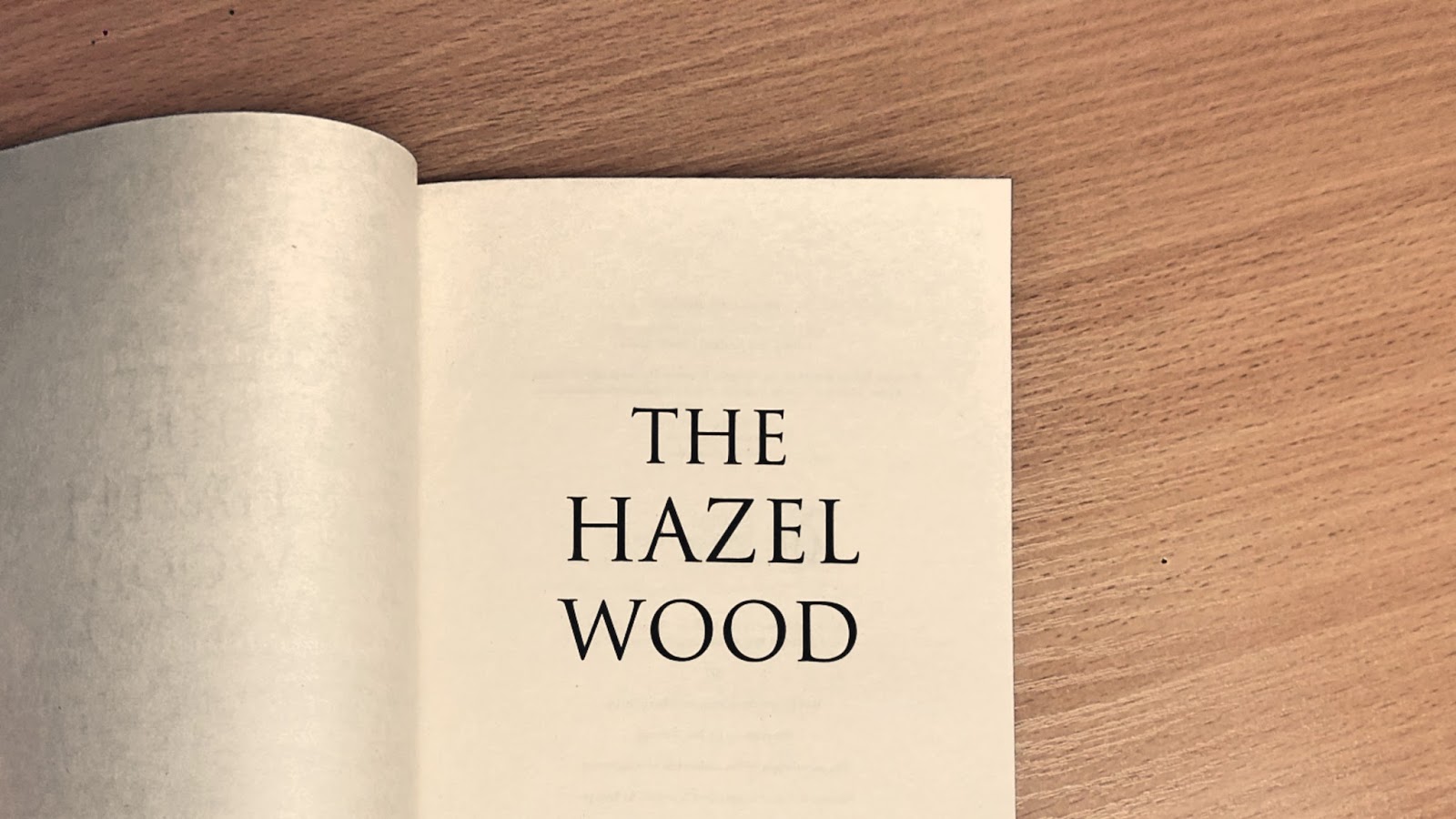 Tsundoku The Hazel Wood