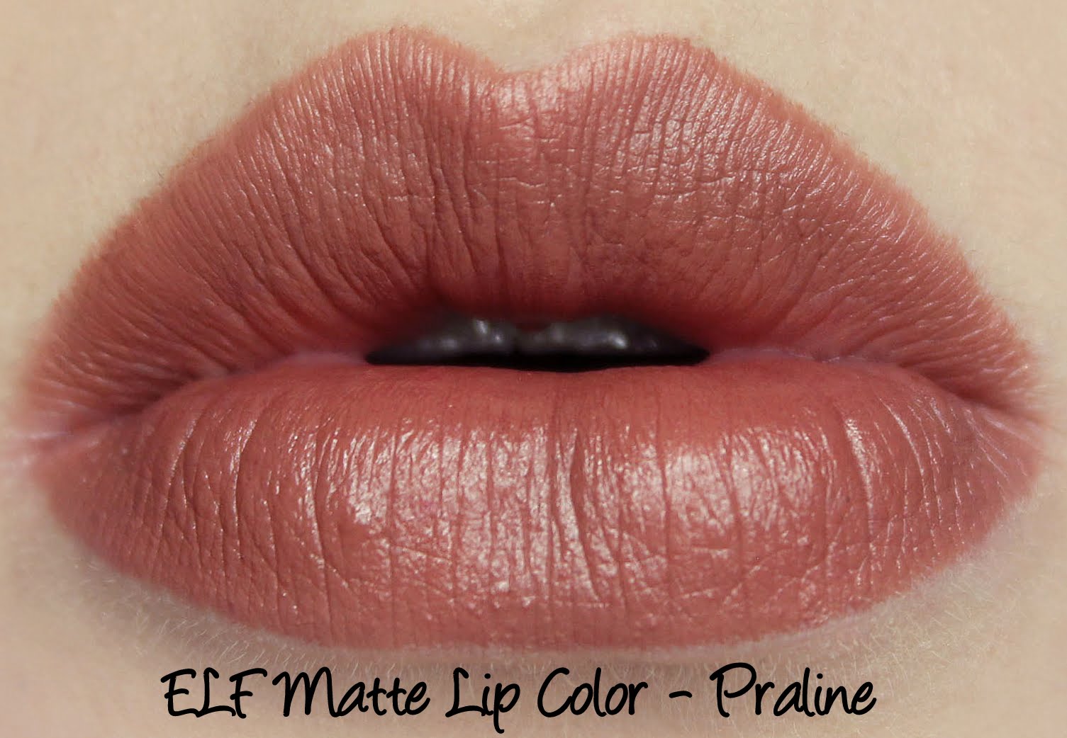 ELF Matte Lip Color - Praline Swatches & Review