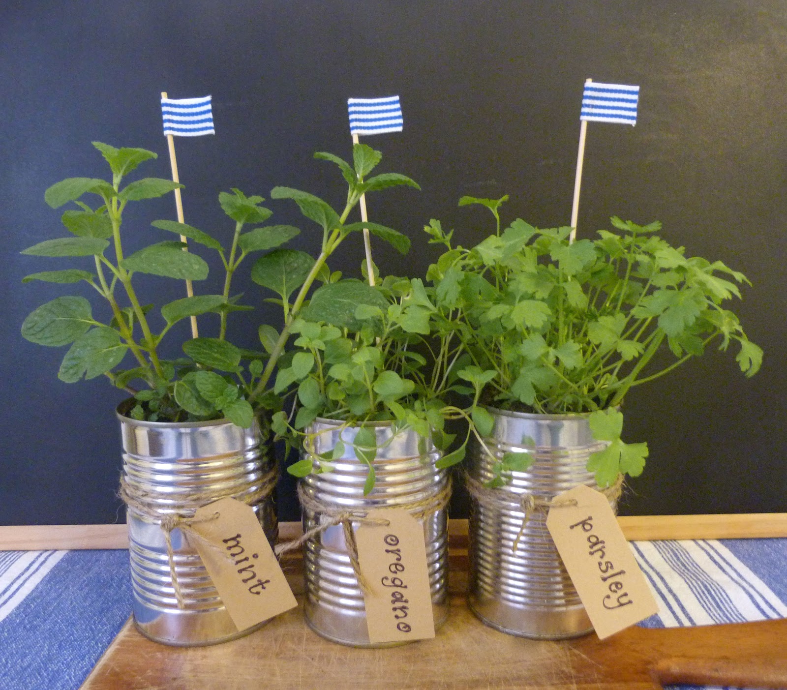 beachcomber: mini herb garden