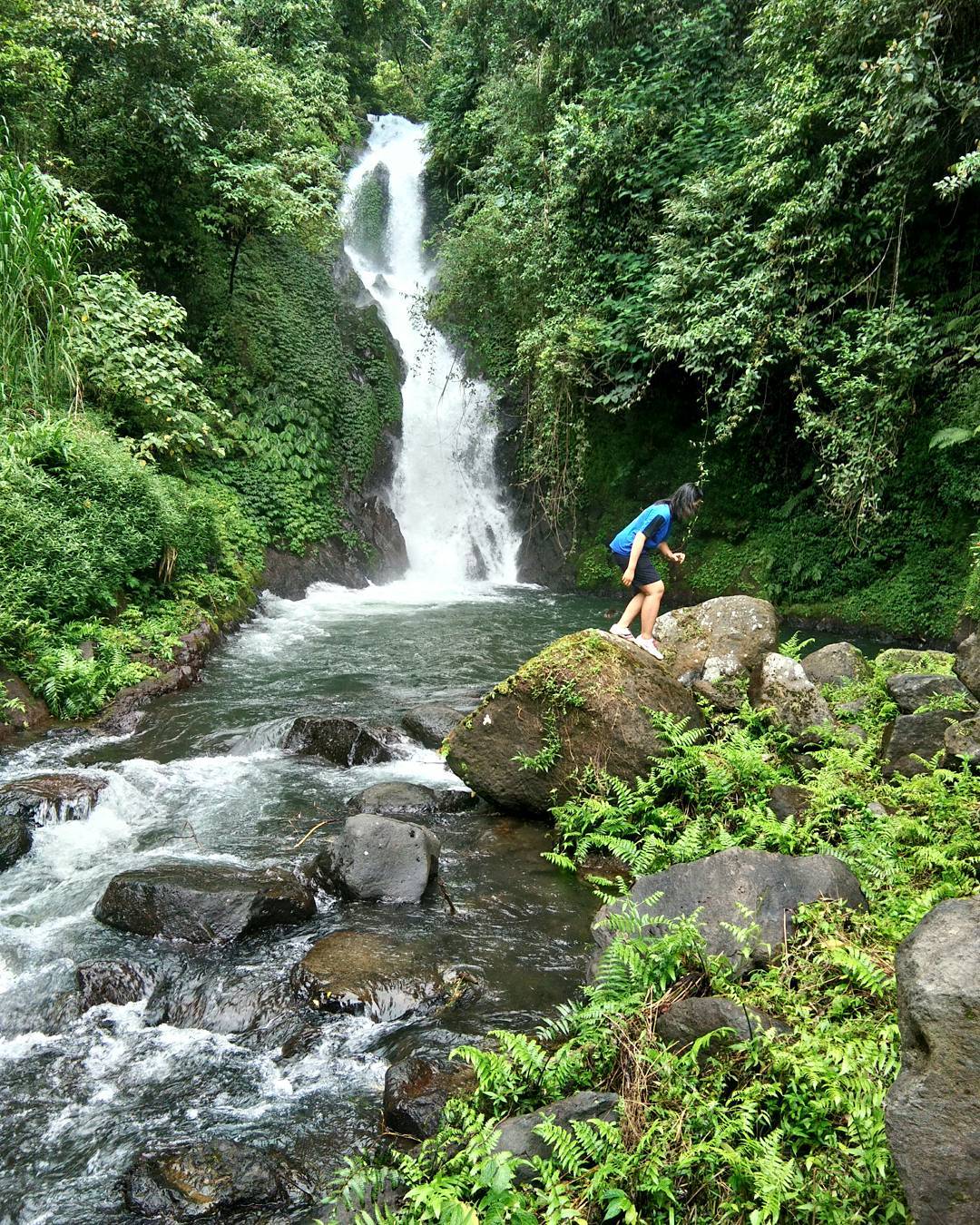 89 Gambar Air Terjun Les Buleleng Terlihat Keren 89 Gambar Air Terjun Les Buleleng Terlihat Keren