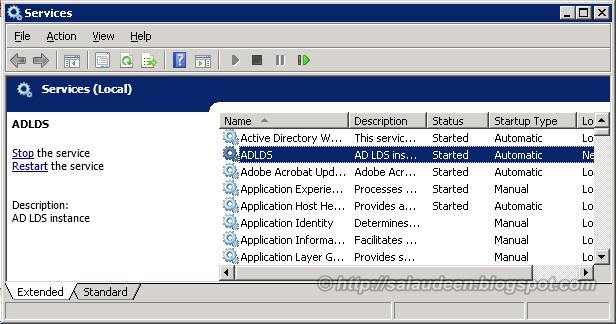 Varify AD LDS instance in Services Console Varify AD LDS instance in Services Console