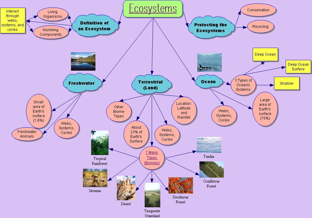 Biomes Concept Map.