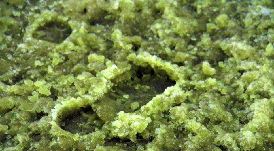 Neve verde in Russia, stupore tra gli abitanti. Neve verde in Russia, stupore tra gli abitanti.