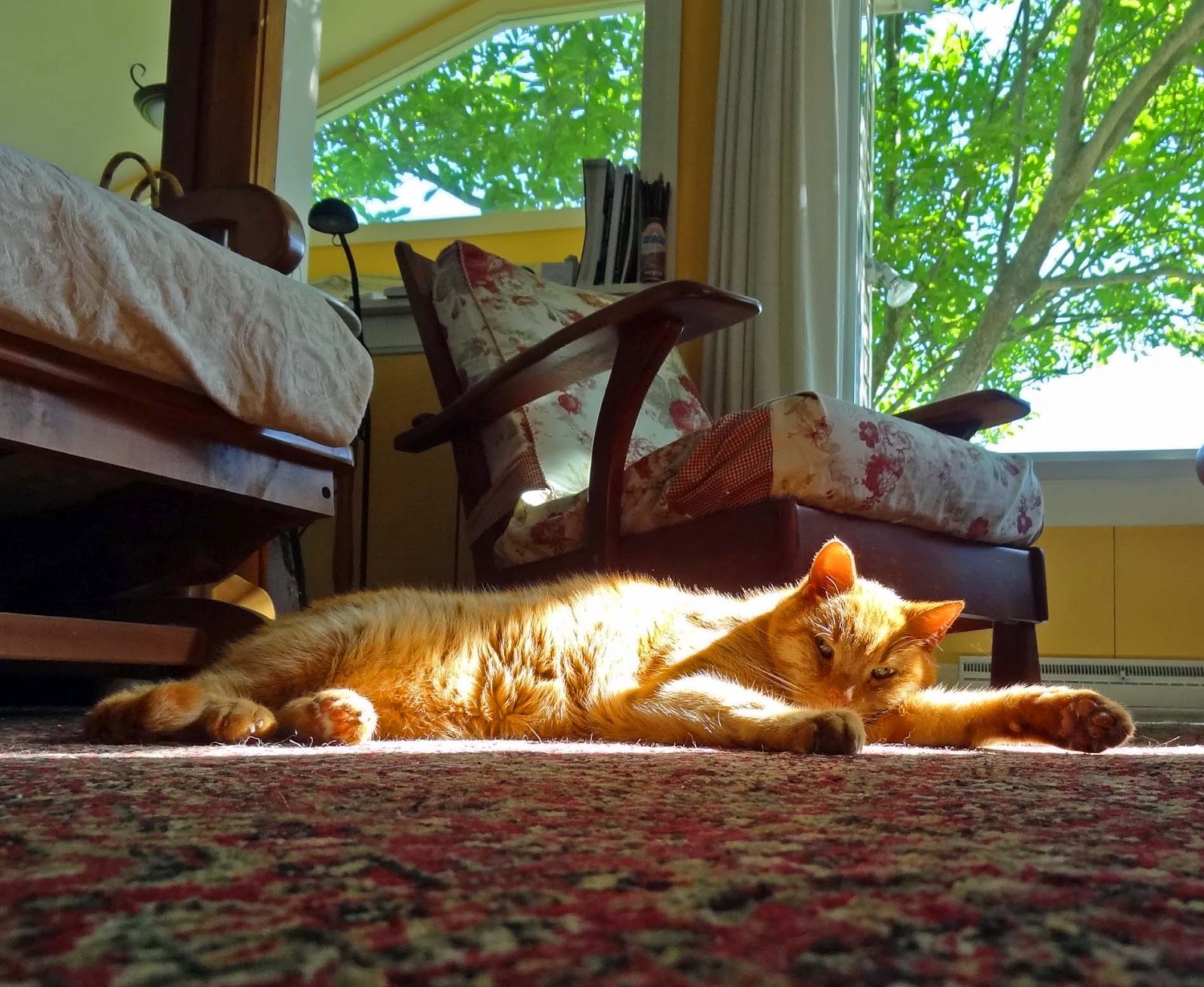 Joe's Retirement Blog Sunrise, Bartlett Pond, White Horse Beach