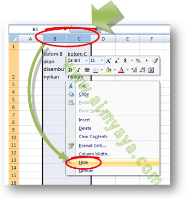 Gambar: Contoh Cara menyembunyikan  kolom atau baris di Microsoft Excel