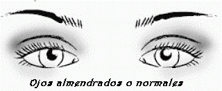 Maquillaje según tipo ojos (Parte