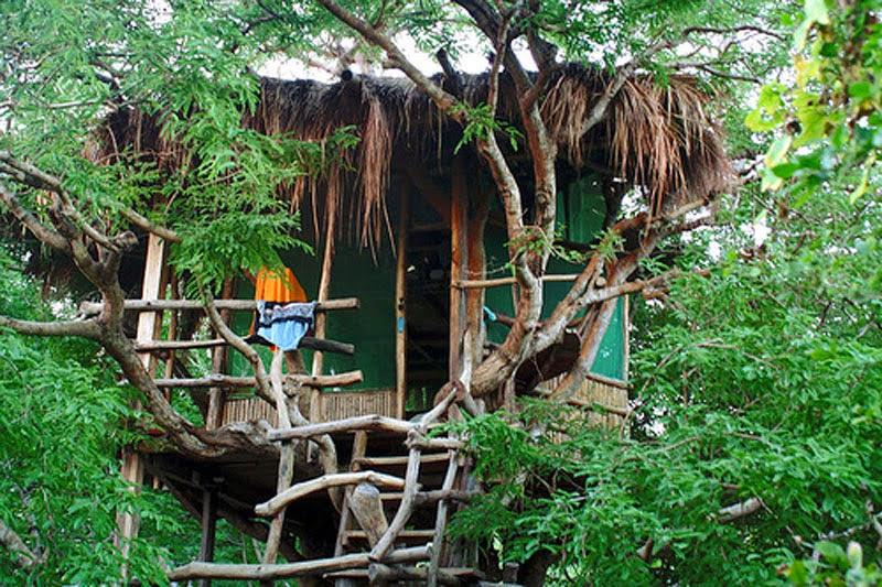 China - 10 Of The Wildest Tree House Locations