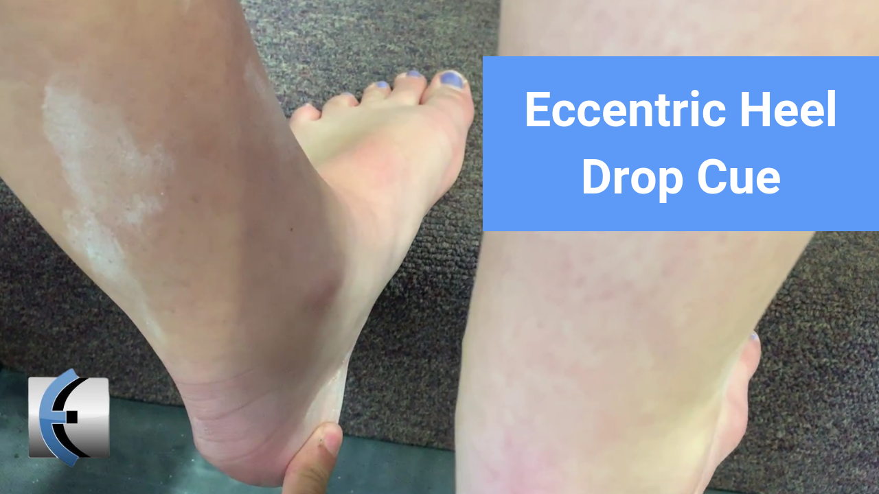 Eccentric Heel Drop Cue Modern Manual Therapy Blog Manual Therapy