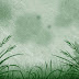 Grass Background Design 